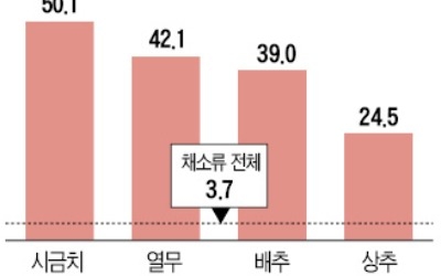 폭염에 폭등하는 식탁물가… 1주일새 깻잎 141%·쪽파 121% ↑