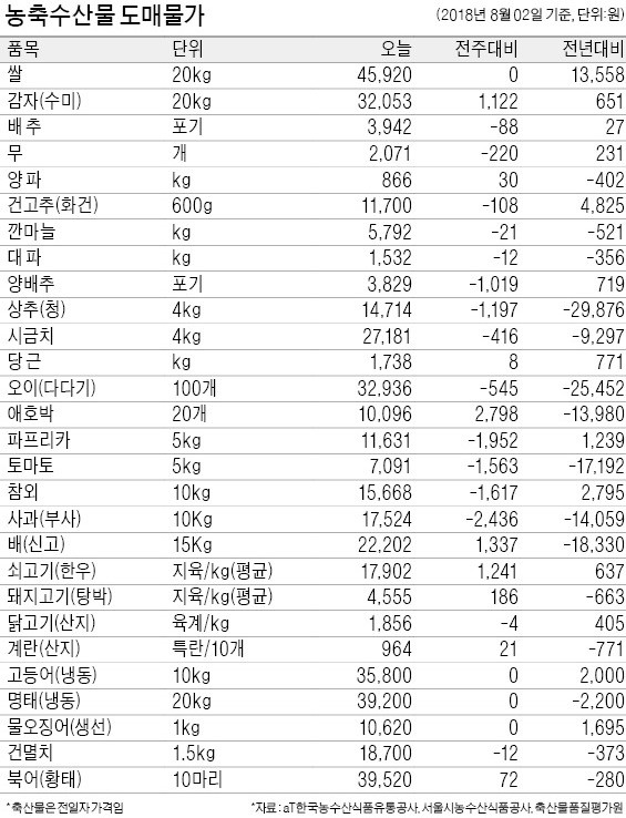 [농수산물 시세] 고랭지 배추·무 값 한달 새 두 배 '껑충'