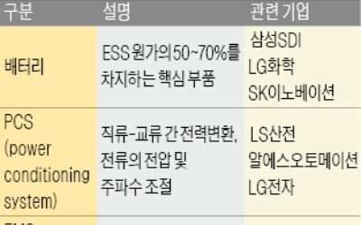 '탈원전 정책 수혜' ESS株… 삼성SDI·LS산전 깜짝실적