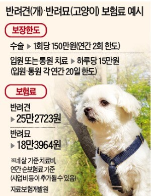 月 2만원대 '펫보험' 나온다