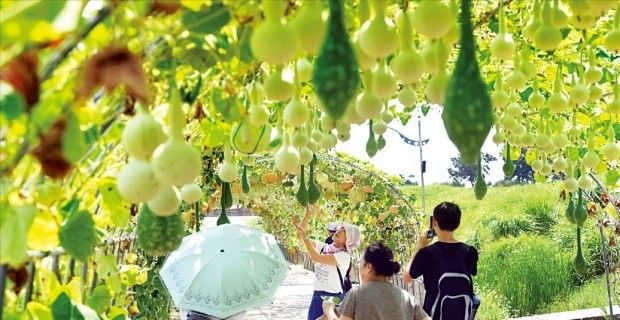 7일 '입추'인데… 폭염 여전