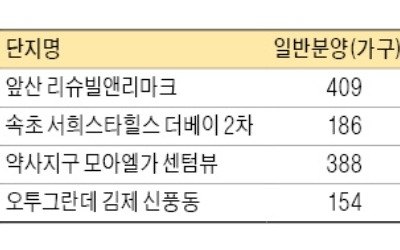 분양시장도 휴가… 청약단지 '0'