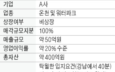 年 매출 50억 워터파크 운영사 매물로