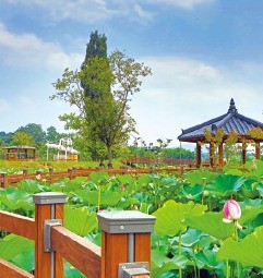 경북 성주 칠선~용선간 숲길 