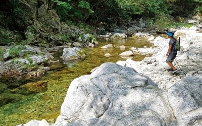 흙길, 돌길, 물길따라… '숲 속 트레킹' 더위를 잊다