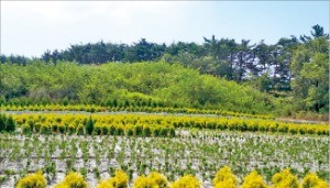 충남 서산시 팔봉면 전원지 