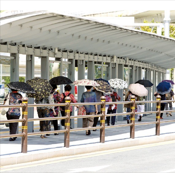 폭염에 ‘양산 행렬’ 