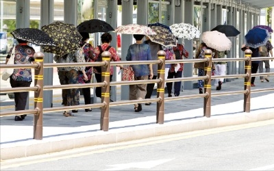 폭염에 '양산 행렬'