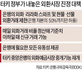 터키 정부, 금융시장 안정화에 총력… 은행 외환거래 제한하고 유동성 공급↑