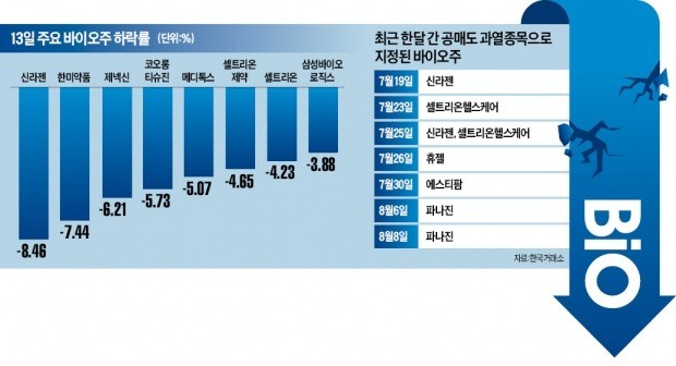 이번엔 제약·바이오株… 韓증시 '보고서 공포'