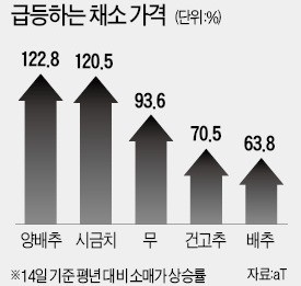 폭염發 '추석 장바구니 물가' 대란 오나