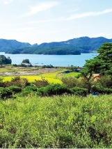 [한경 매물마당] 충남 서산시 바닷가 전원지 등 6건