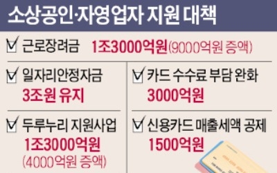 '최저임금' 놔둔 채… 또 돈 퍼붓기 자영업 대책