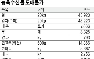 [농수산물 시세] 겁나는 시금치 값… 작년 대비 3배 가까이 올라