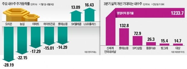 중산층 소득 감소 '직격탄'… 내수株, 신저가 속출