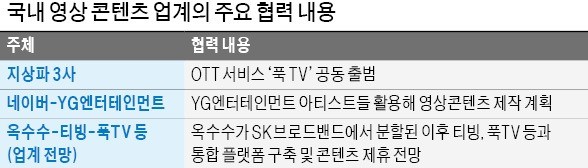 "대규모 투자로 콘텐츠 확보"… 토종 OTT 플랫폼끼리 '공동 전선'도