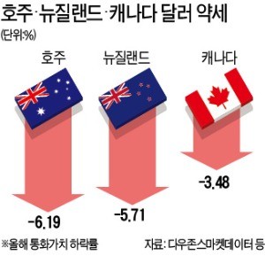 호주·캐나다·뉴질랜드… 선진국도 强달러 '불똥'