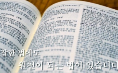 헌법은 신발·젠가·원천기술… 기발한 비유 돋보여