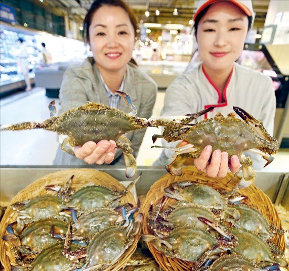 “가을 햇꽃게 맛보세요” 