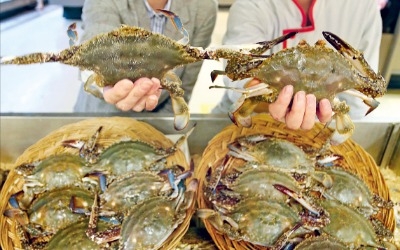 “가을 햇꽃게 맛보세요”