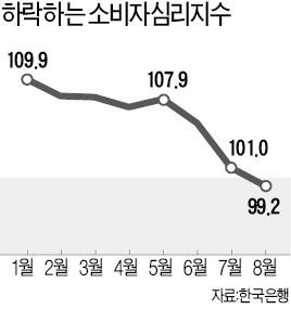 무너진 소비심리… 17개월 만에 '비관적' 전환