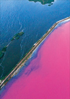 [이 아침의 풍경] 눈부시게 빛나는 분홍빛 호수