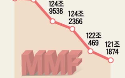 터키發 충격에 자금 1조 이탈… DB운용, MMF 환매 연기