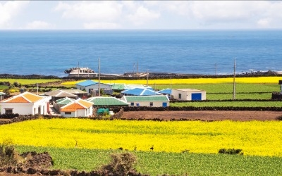 '효리네 민박' 꿈꿨다가 육지로 되돌아간 10人의 충고