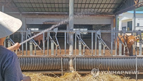 "41도까지 치솟았다"…강원 지자체 '초비상'