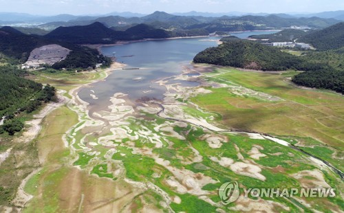 '강산이 바짝바짝'…폭염에 여름 가뭄까지 '엎친 데 덮친 격'