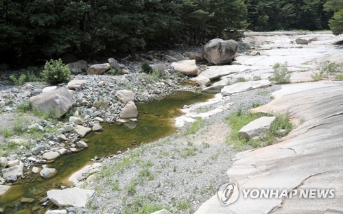 "시원한 물찾아 왔더니"…바닥 드러낸 계곡에 실망