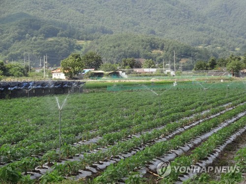 전북도 '가뭄 주의단계' 진입할 듯 …7일부터 대책반 가동