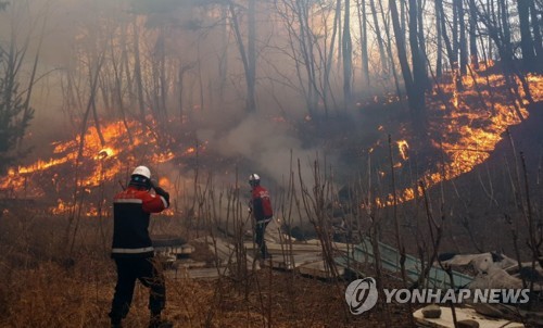 '산불 비수기인데' 역대급 폭염에 여름철 산불 발생 작년 10배↑