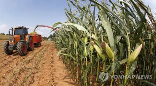 [날씨] 내일 '입추' 무더위는 계속…곳곳 소나기