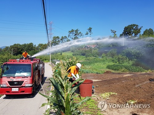 폭염에 가축 453만 폐사… 정부, 축사 냉방 장비 지원