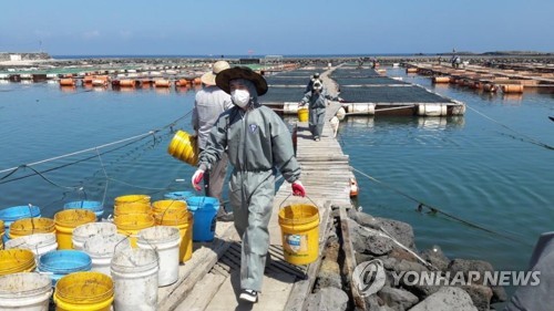 폭염에 바다도 '펄펄'… 어민 고수온 피해 16억원 육박