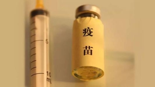 中정부 불량백신 파동 '궁지'… 광견병 백신 무료접종 제공키로