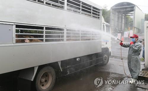 中 아프리카돼지열병 확산… 정부 차단조치 강화