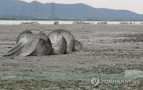 대호호 저수율 16.9%로 '뚝'… 충남도 긴급 농업용수 공급