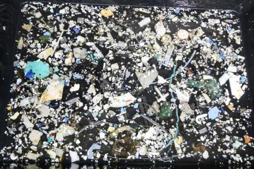 태평양 플라스틱 쓰레기 최대 배출국은 일본·중국