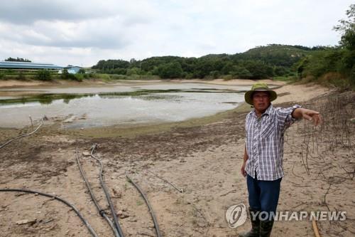 전국 평균 저수율 50% 붕괴… 평년 대비 3분의 2 불과