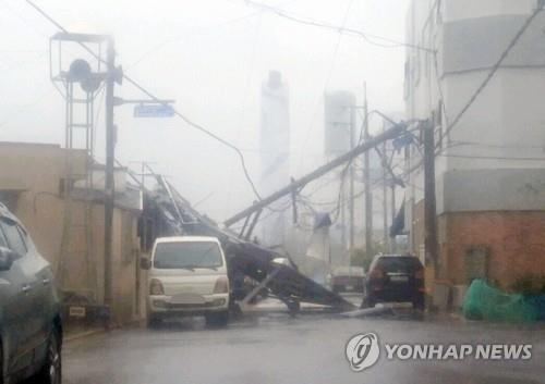 [태풍 비상] 전북 160개 학교 휴업… 전체 휴교령은 발동 않기로