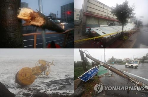 `솔릭' 상륙 임박… 뽑히고·끊기고·무너지고 피해 속출