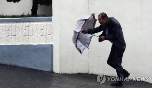 쓰러지고, 떨어지고, 날리고… 광주·전남 곳곳 '솔릭' 생채기