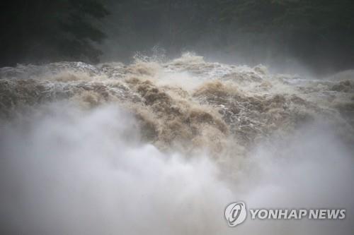 하와이, 허리케인 물폭탄에 도로 곳곳 끊겨… 강풍은 잦아들어