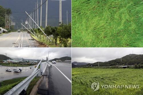 서부권 태풍 지나가니 동부권 폭우… 전남 곳곳 '물난리'