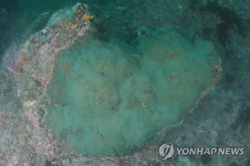 [한반도 이상징후] ⑥ "기후변화, 피할 수 없다면 적응하라"