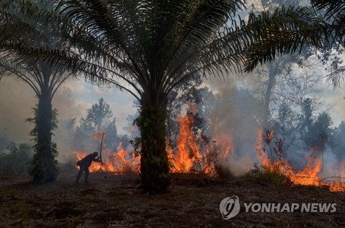 아시안게임 개막 앞두고 비상 걸린 인니… 연무 확산방지 총력