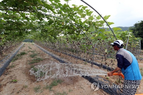 정부, 폭염피해 농가 복구비 신속 지급… 필요시 예비비 투입