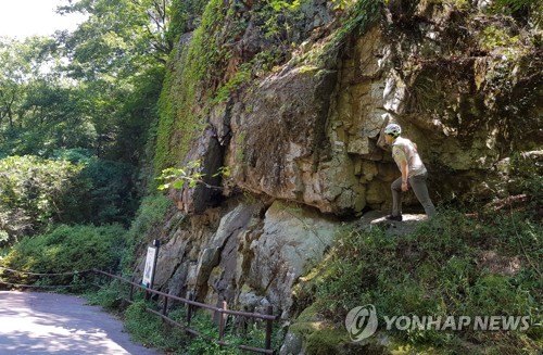 강풍 동반 태풍 '솔릭' 북상… 전국 시·군, 일찌감치 비상태세